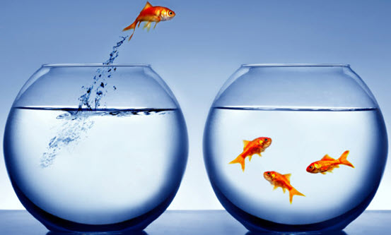 Organisationsdesign og forandringsledelse